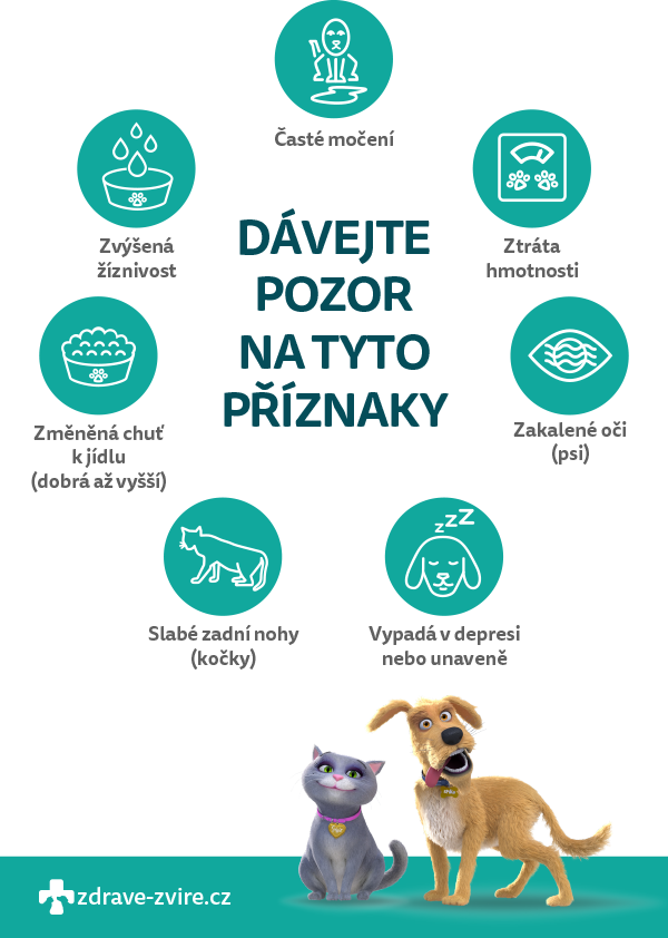 1. Rozpoznejte příznaky cukrovky