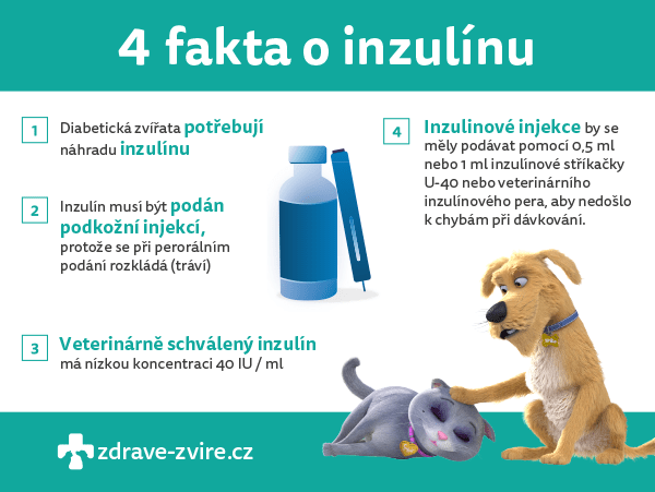 4. Buďte připraveni na hypoglykémii