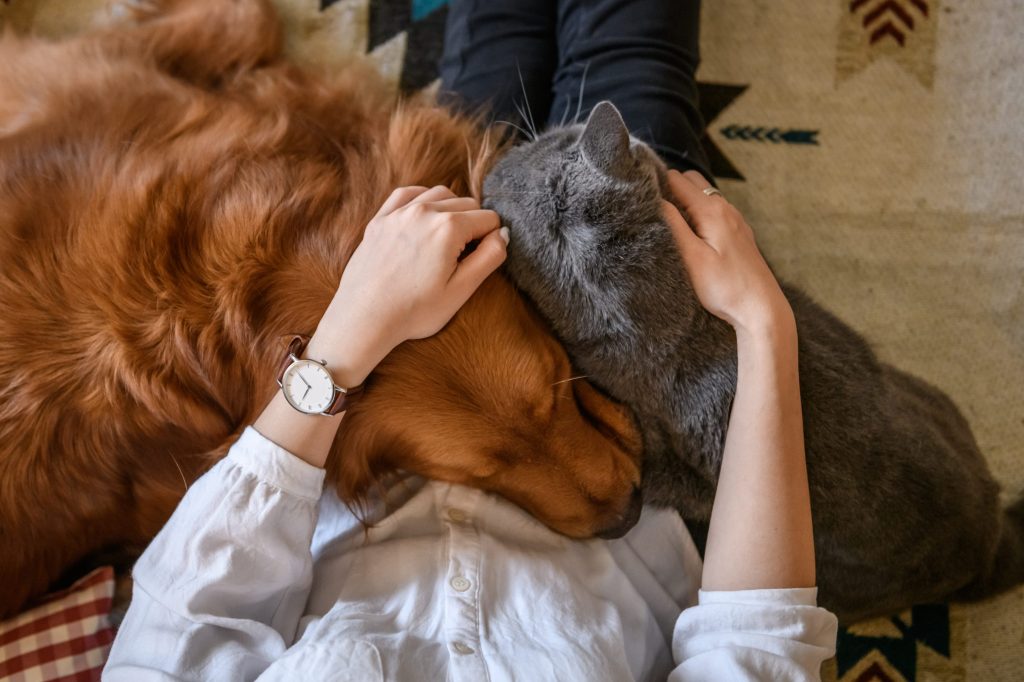 Teplejší podnebí rovná se více a více parazitů
