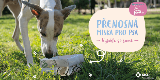Přenosná miska pro psa